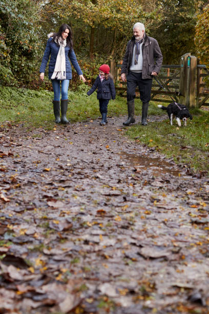 istock Multi Generation Family Take Dog For Walk In Fall Landscape 650700486