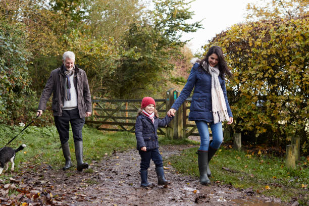 istock Multi Generation Family Take Dog For Walk In Fall Landscape 650702510