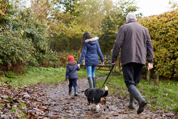 istock Multi Generation Family Take Dog For Walk In Fall Landscape 650702628
