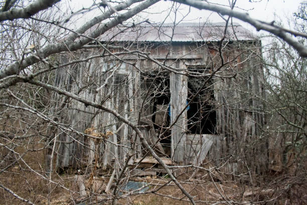 istock Run Down Abandoned Shack in Woods 650702758