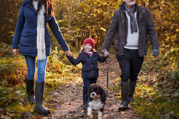 istock Multi Generation Family Take Dog For Walk In Fall Landscape 650702912