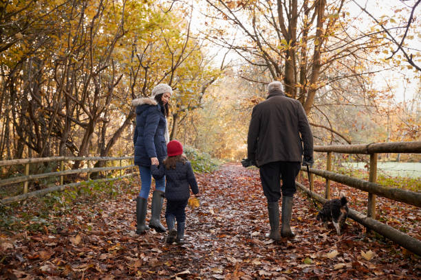 istock Multi Generation Family Take Dog For Walk In Fall Landscape 650703240
