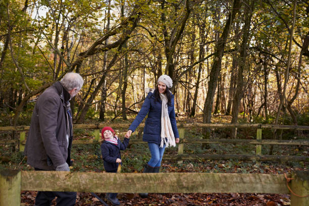 istock Multi Generation Family Enjoying Walk In Fall Landscape 650703288