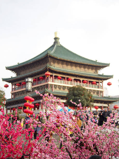 torre do tambor com a primavera flores xian china - xian tower drum china - fotografias e filmes do acervo