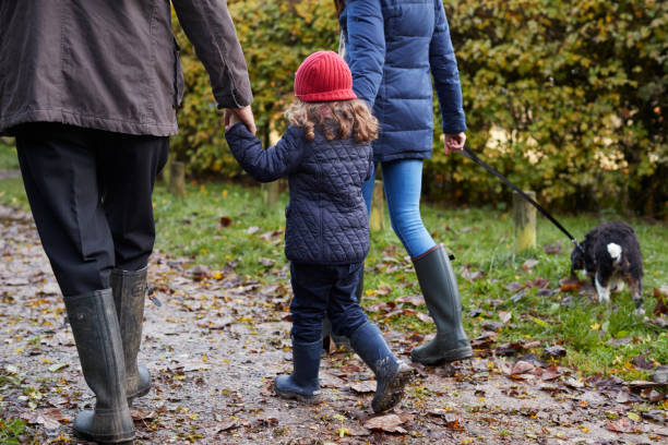 istock Multi Generation Family Take Dog For Walk In Fall Landscape 650710522