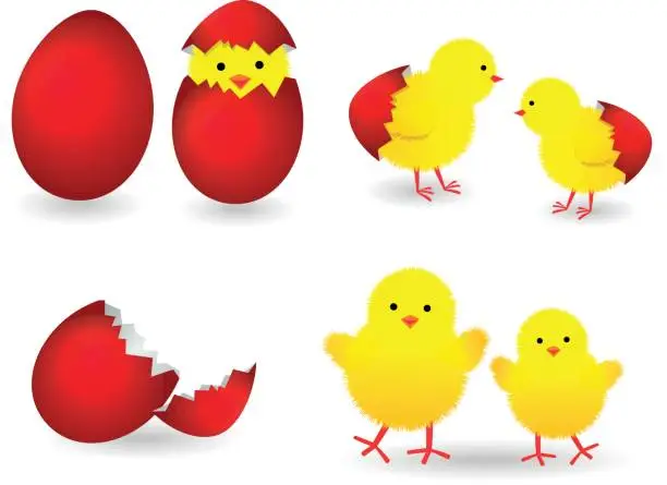 Vector illustration of Easter Egg with Baby Chicks