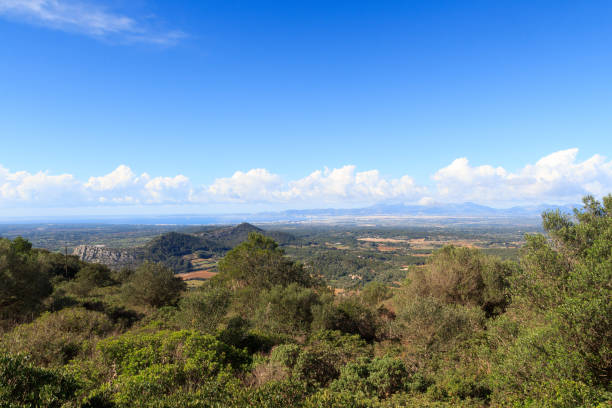 istock Palma de Majorca panorama, Tramuntana mountains and Mediterranean Sea, Spain 650714452