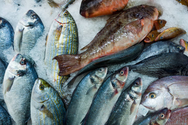 istock Fresh seafood. Fresh fish in the market 650718406
