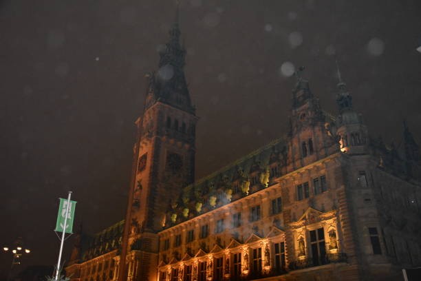 istock Town hall in hamburg 650718982
