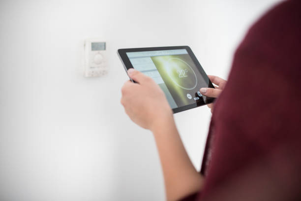 istock In charge of my home 650723226