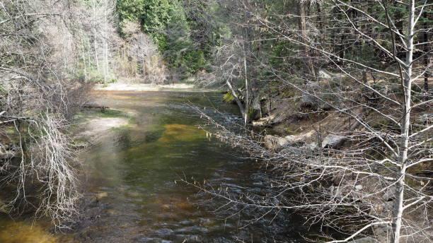 istock The stream of Kaweah River 650723538