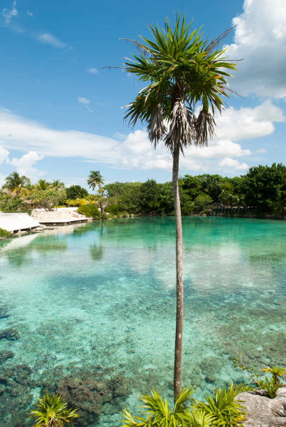 istock Cozumel Island Lagoon 650730302