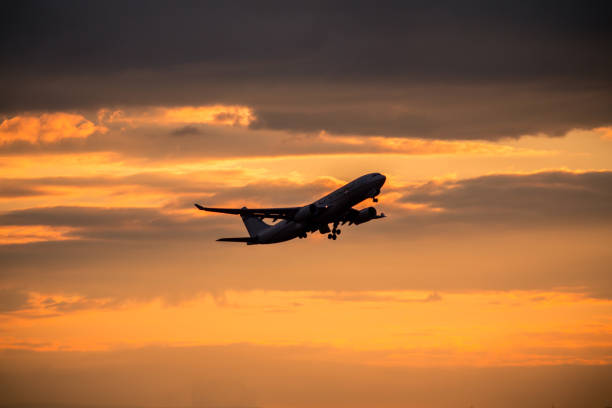 istock Silhouette of airplane at sunset. 650731124