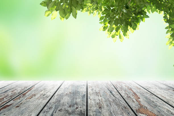 istock Empty wooden table with party in garden background blurred. 650731658