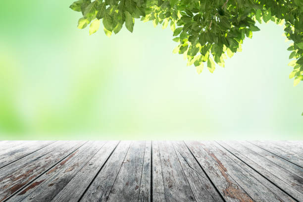 istock Empty wooden table with party in garden background blurred. 650734000