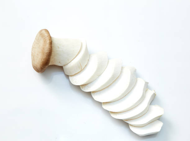 istock King Oyster mushroom 650735004