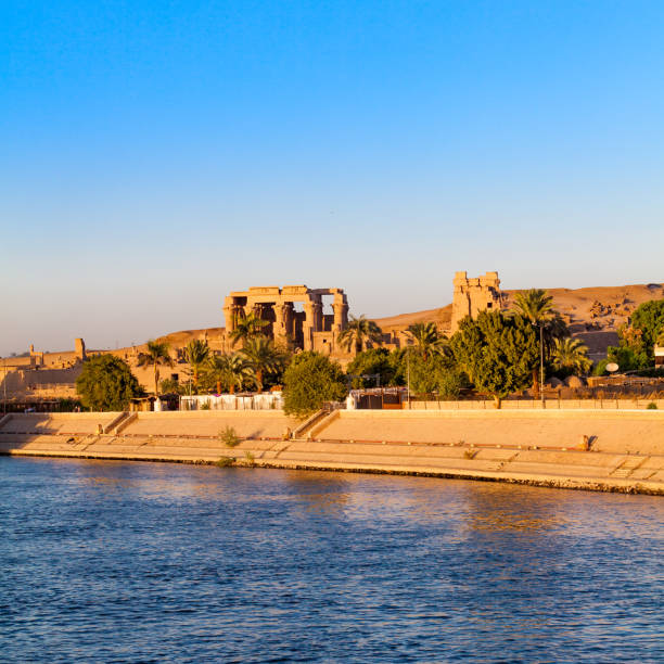 istock Kom Ombo temple, Egypt. temple at sunset on the Nile in Egypt 650742946