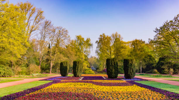 istock Nice park in the city with trees, Spring flowers and grass 650747830