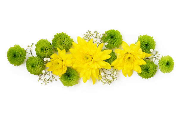 istock Yellow and green flowers decoration 650767938