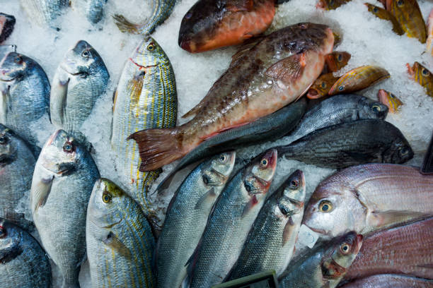istock fish market. dorado fish on ice background 650792930