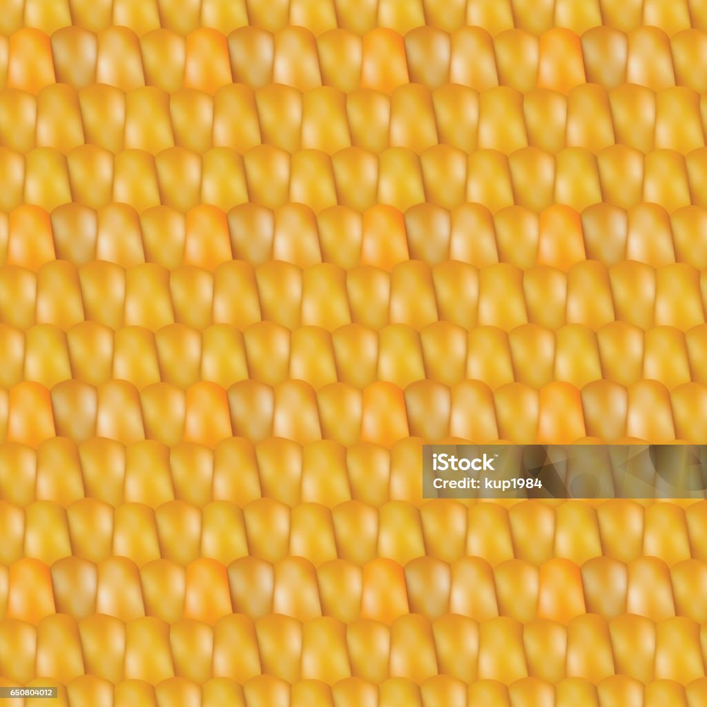 Realistic Texture Corn Vector Illustration Stock Illustration ...
