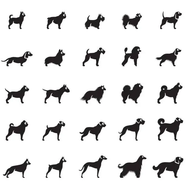 Vector illustration of Dogs Icon Set