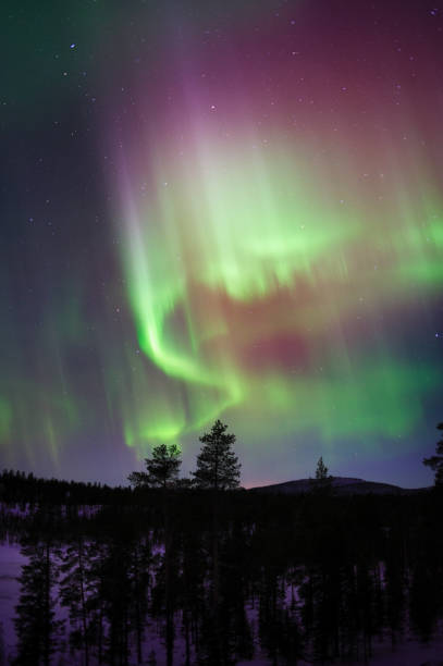 aurora borealis powyżej las borealny - winter landscape sweden snow zdjęcia i obrazy z banku zdjęć