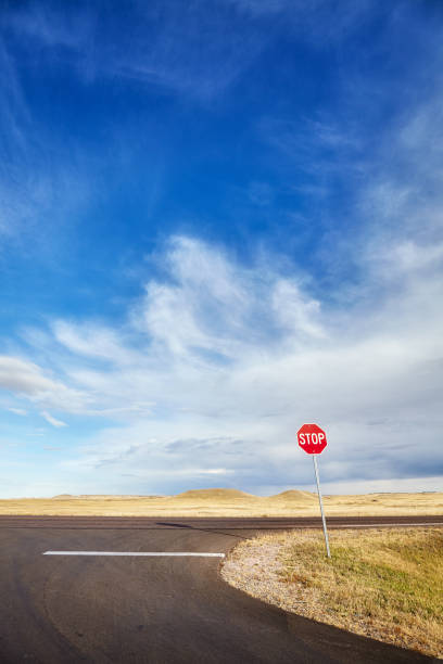 istock Desert highway with a stop sign, USA. 650856332