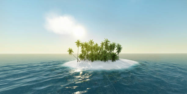 istock sea, tropical island, palm , sun 3d rendering 650858032