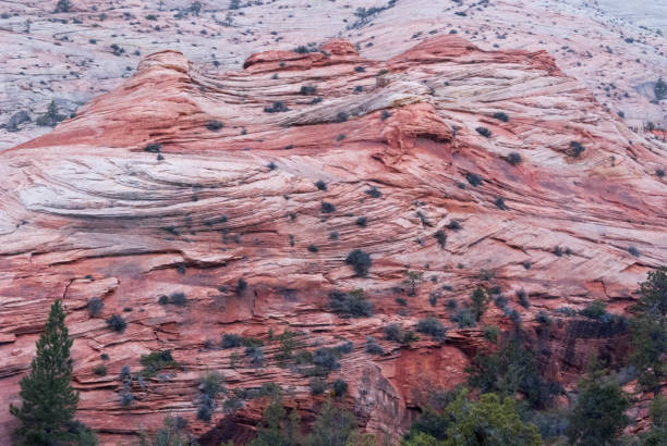 istock Red rock of Utah 650871332