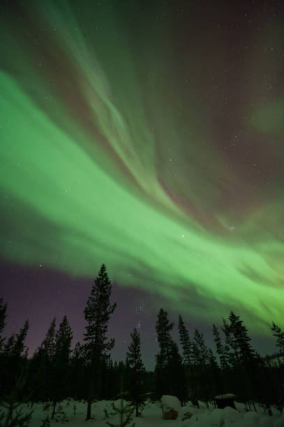 aurora borealis powyżej las borealny - winter landscape sweden snow zdjęcia i obrazy z banku zdjęć