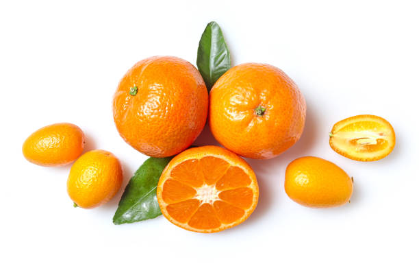 istock fresh clementines and kumquats 650905068