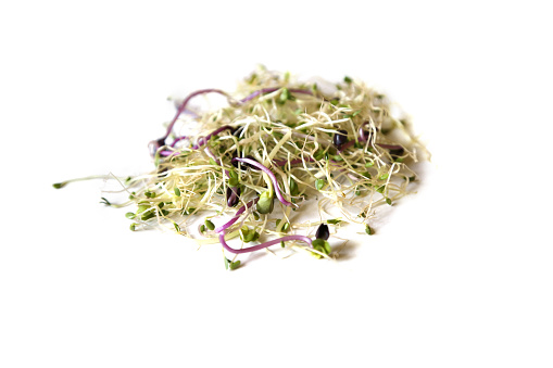 sprouts: clover, beets, wheat on white background