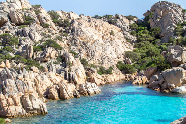 istock Beach of Cala Coticcio, Sardinia, Italy 650943088