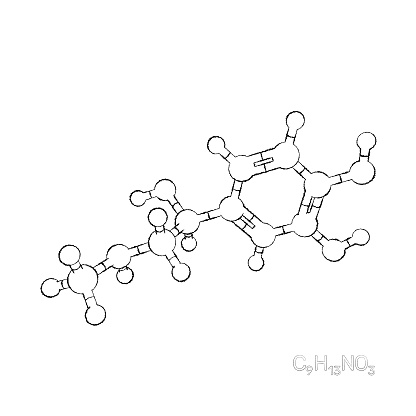 Adrenaline model molecule. Isolated on white background. Sketch illustration.