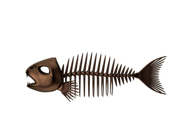 istock Metallic Fish skeleton. Isolated on white background. 3D rendering illustration. 650948078