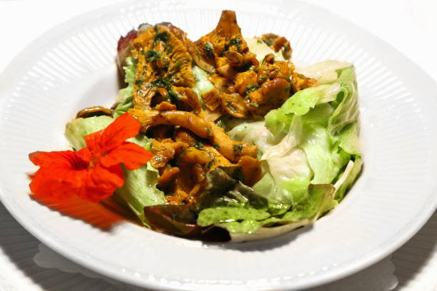 istock salad and mushroom chanterelle 650954448