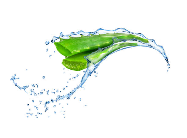 istock aloe vera with water splashes isolated on white background 650960490