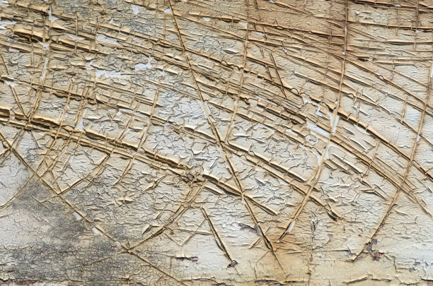 istock Texture of cracked rough wood surface painted 650971424