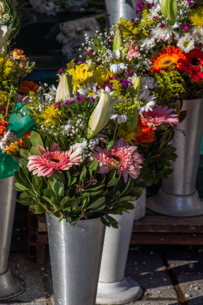 istock Flower pot with beautiful flowers in it 650978190