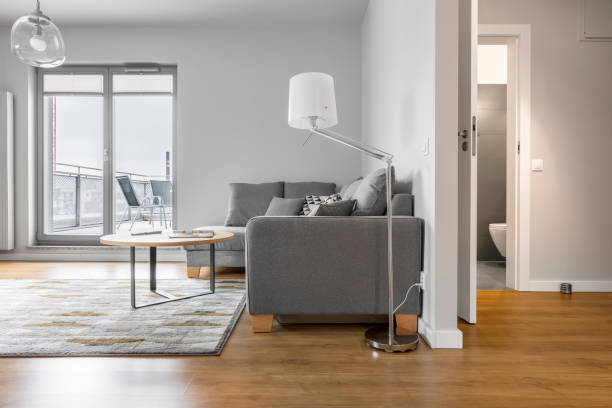 istock Interior of modern apartment 650985272