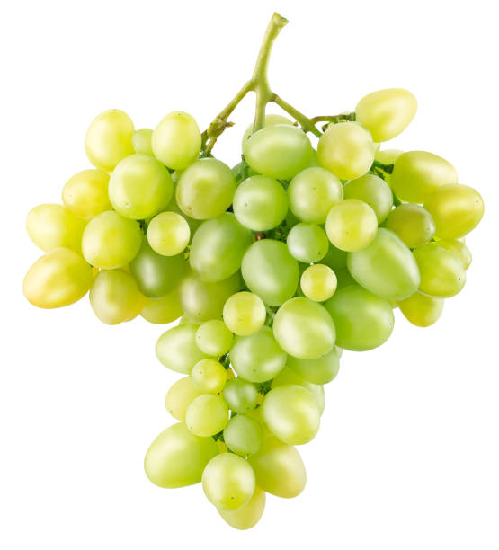 istock green grapes isolated on a white background 650985788