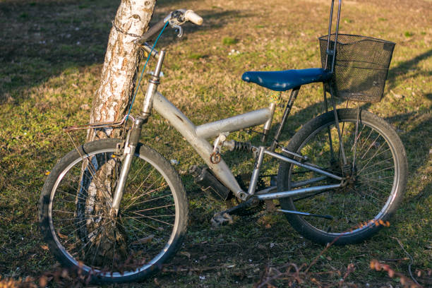 istock Old bicycle in the park chained to a tree. 650991912