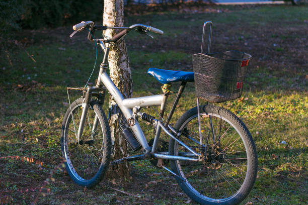 istock Old bicycle in the park chained to a tree. 650994214