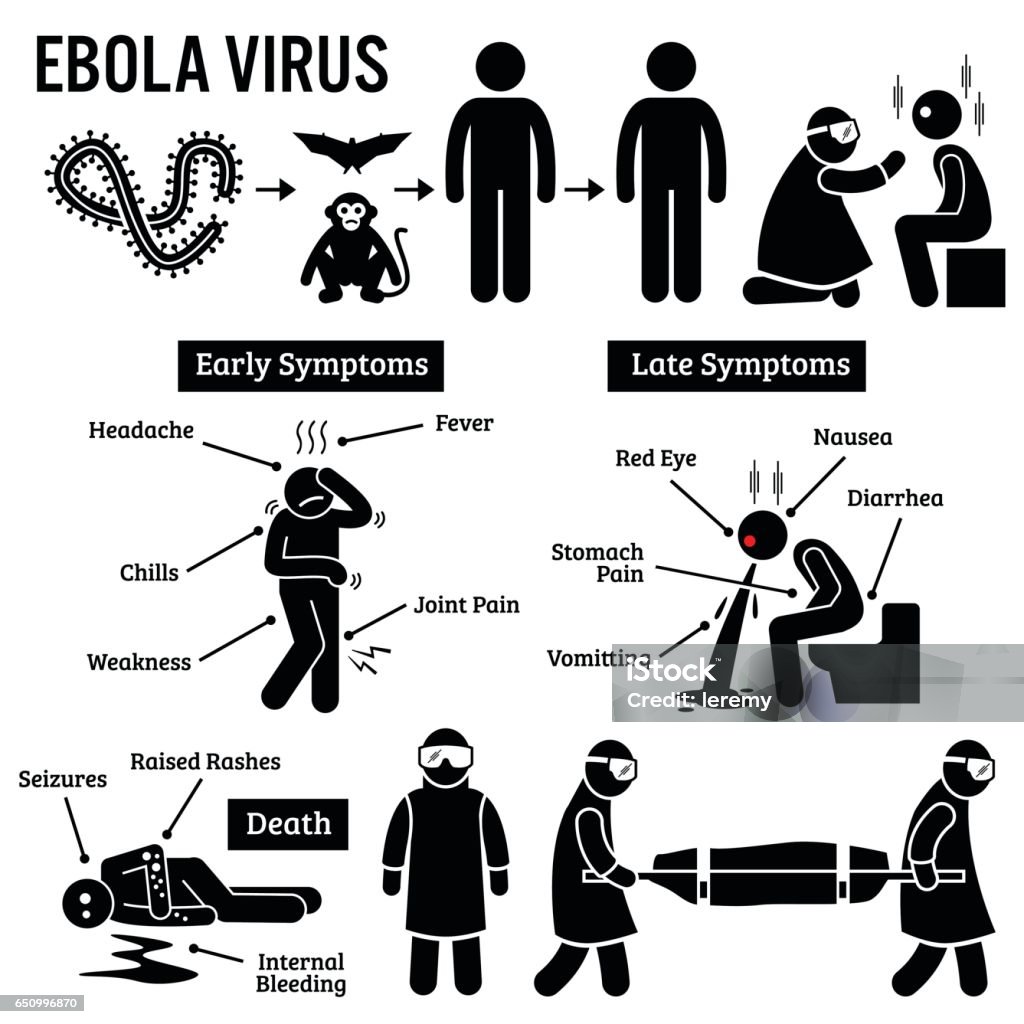 Ebola Virus Outbreak Pictogram Set of human pictogram about ebola virus outbreak. The virus are spread from monkey and bats to human. Infected people will get sick and die from ebola. Government send health worker as a measure against the virus. Ebola stock vector