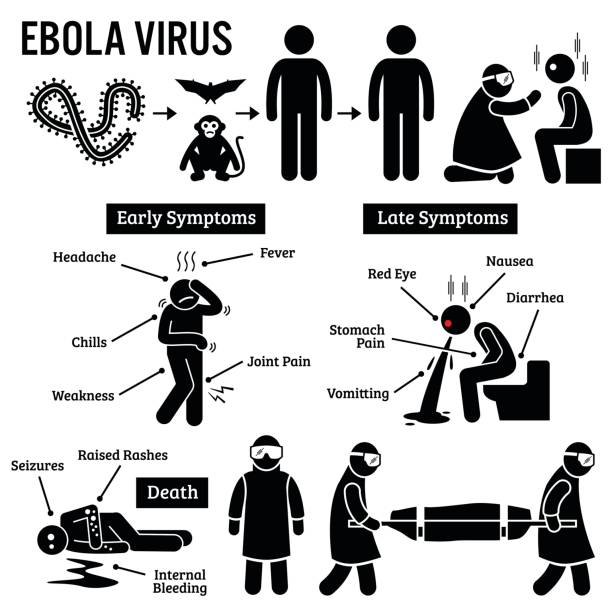 Ebola Virus Outbreak Pictogram Set of human pictogram about ebola virus outbreak. The virus are spread from monkey and bats to human. Infected people will get sick and die from ebola. Government send health worker as a measure against the virus. ebola stock illustrations