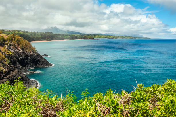 północne wybrzeże-kauai - kauai tropical climate green travel destinations zdjęcia i obrazy z banku zdjęć