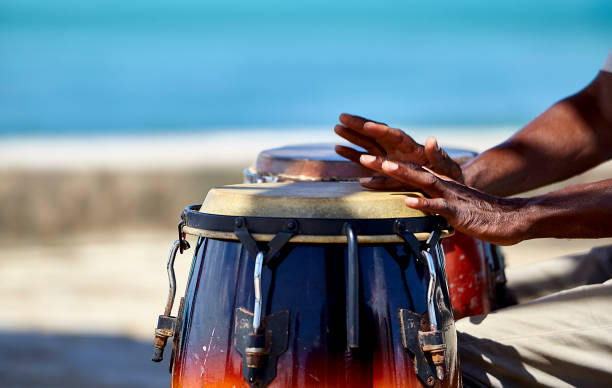 tropical island conga hráč zblízka - havaj fotky - stock snímky, obrázky a fotky