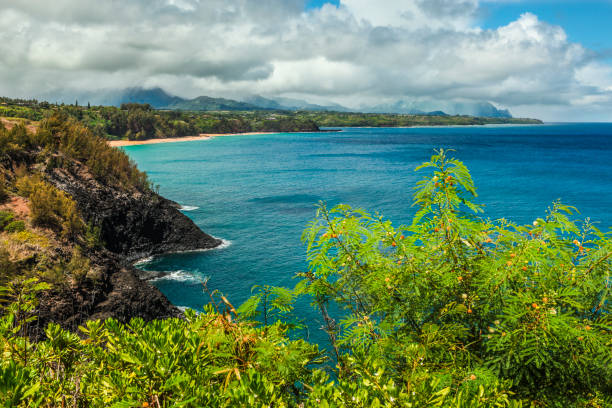 północne wybrzeże-kauai - kauai tropical climate green travel destinations zdjęcia i obrazy z banku zdjęć
