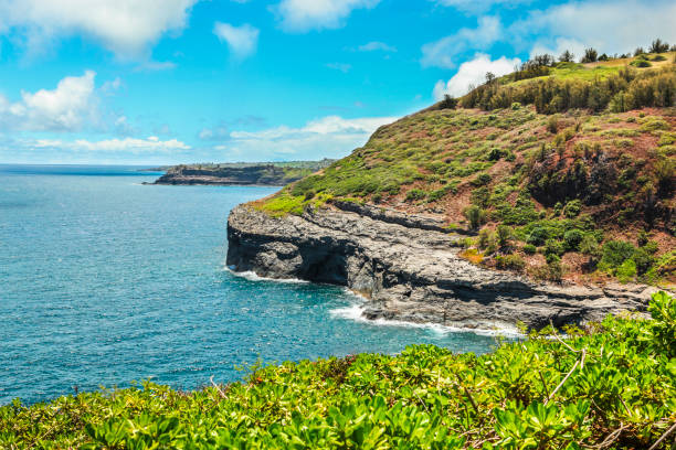 punkt kilauea - kauai - kauai tropical climate green travel destinations zdjęcia i obrazy z banku zdjęć